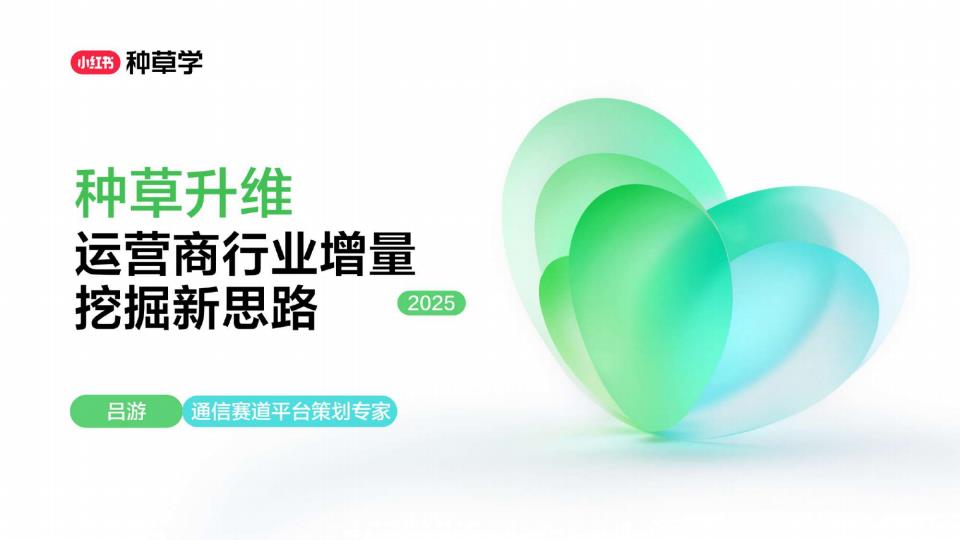 【22062E】2025小红书双11运营商行业增长新思路