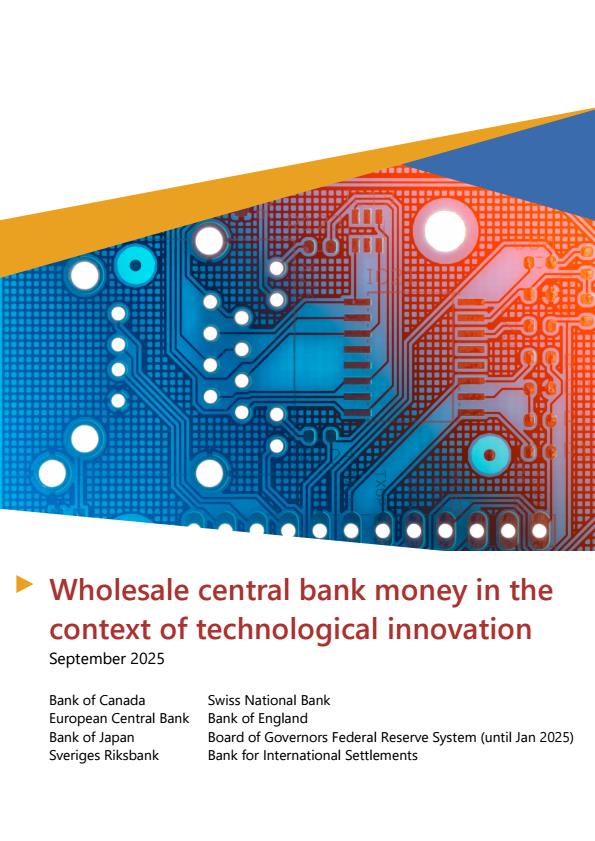 【23365E】【BIS】英文技术创新背景下的央行货币批发